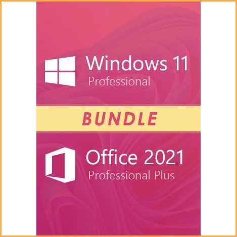 Microsoft Windows 11 Professionnel 64 Bits OEM 1 PC Fr