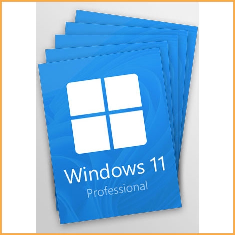 Windows 11 Professional 5 Keys Pack
